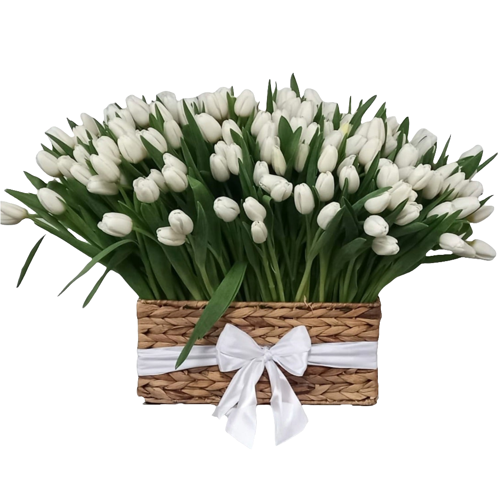 Tulip Arrangement
