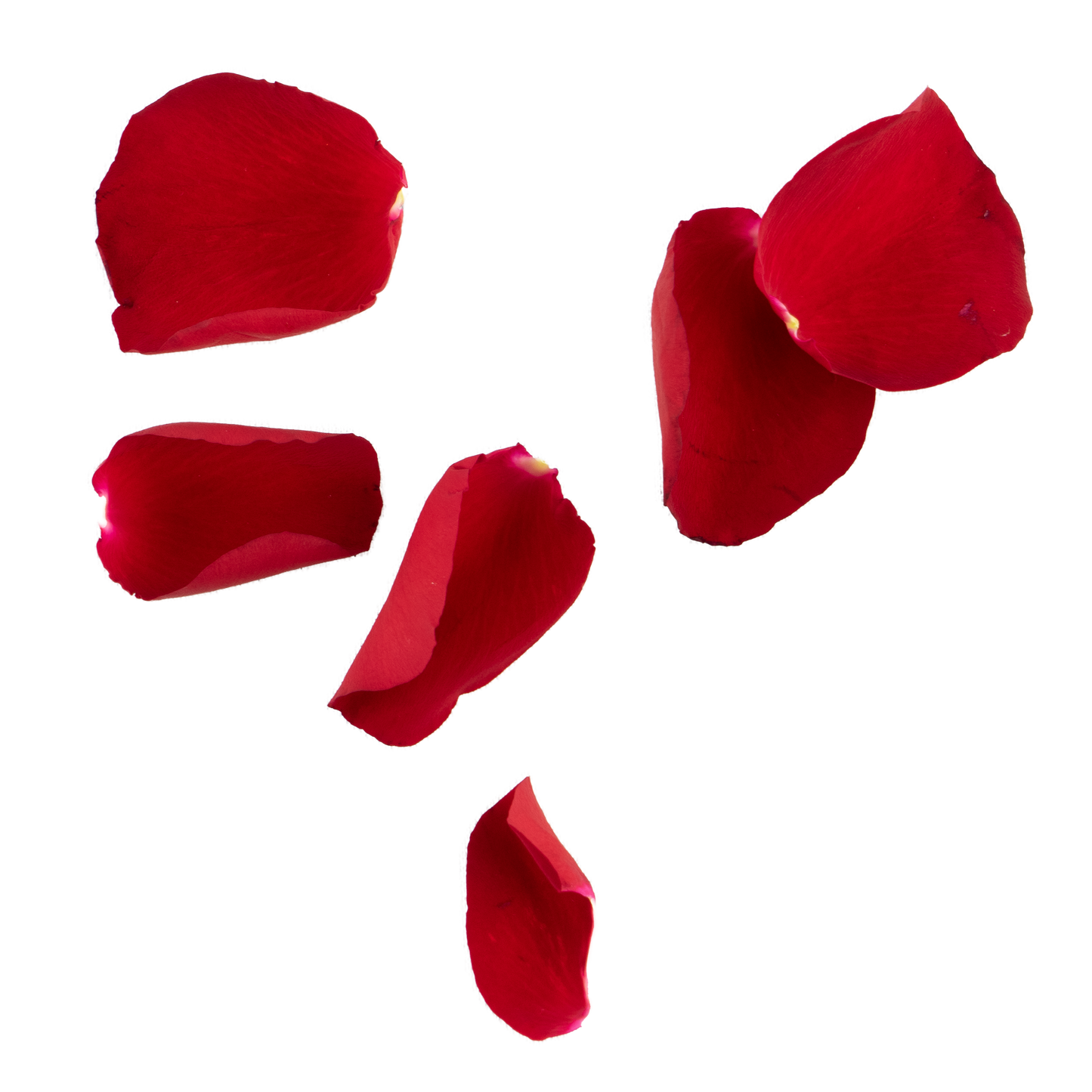 Rose Petals 1/2 kg