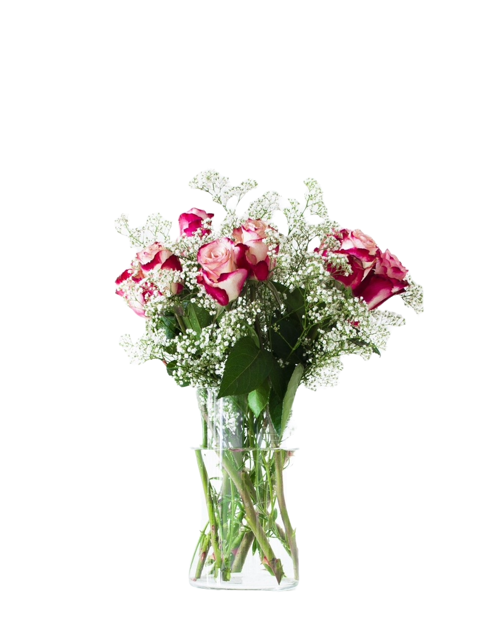 Rose and Gypsophila in a vase