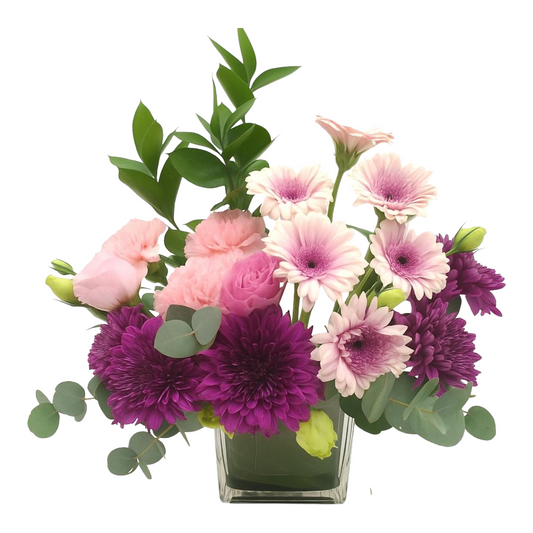 Purple Passion Garden