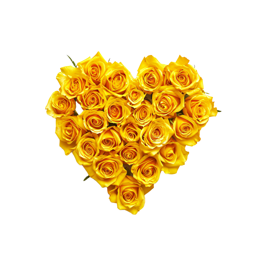 Yellow Rose in Box