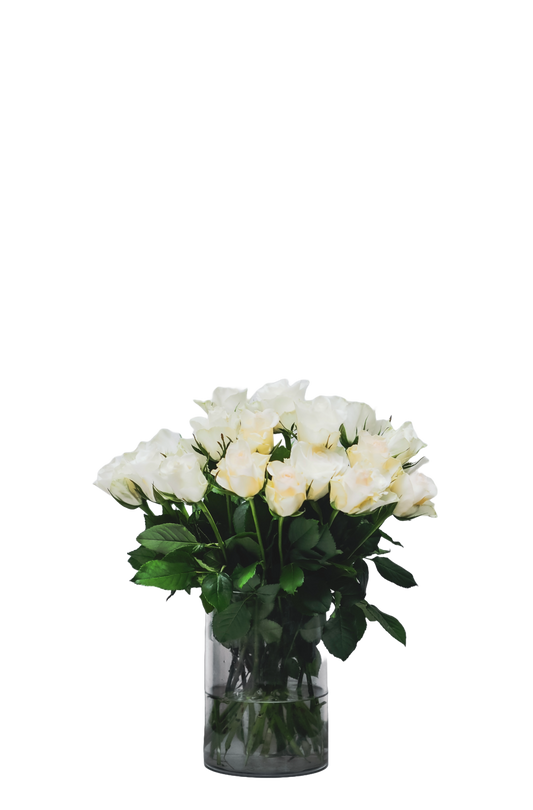 White Roses in a vase